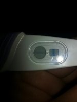 Nov 2012 7 DPO.jpg