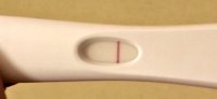 Nov 2012 8 DPO .jpg