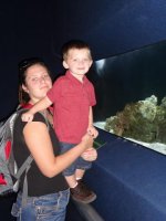 561_466924183347090_2065498929_n[1].jpg