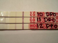 2012-11-14 09.48.05.jpg