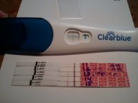 2012-11-14 09.19.32.jpg