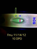 11 14 hpt 10 dpo morning 2.jpg