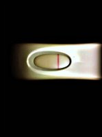 11 16 hpt faint pos 2b.jpg