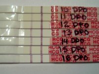 10 dpo - 16 dpo.jpg