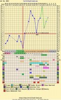 fertilityfriend chart July 10, 2012.jpg