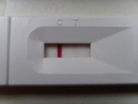 12 dpo.jpg