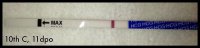 11dpo.jpg