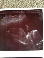 scan11.jpg