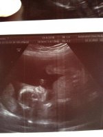 scan22.jpg