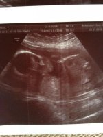 scan44.jpg
