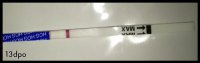 13dpo.jpg