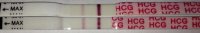 13_15dpo compare.jpg