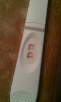 opk2.jpg