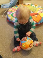 DSCF0328.jpg