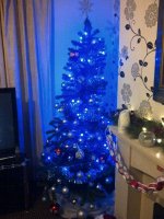 IMG-20121126-00954.jpg