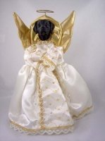 Lab angel.JPG