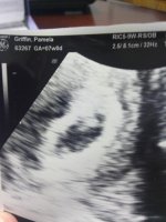 Baby Griffin.jpg