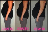 26w3d.jpg