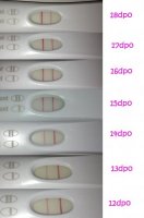 12_13_14_15_16_17_18_compare.jpg