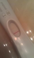11DPO.jpg