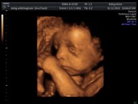 baby whittingham_12.jpg