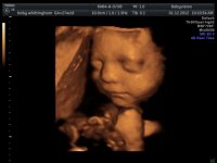 baby whittingham_32.jpg