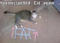 fat.jpg
