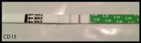 CD15.jpg