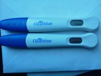 121312_BFP preggo testa.jpg