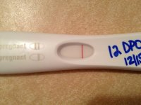 12dpo.jpg