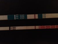 HPT 12DPO.JPG