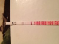 hpt 12DPO 11pm.JPG
