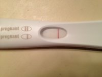 FRER 13DPO.JPG
