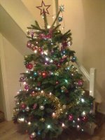 xmastree2012.jpg