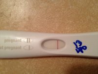 13dpo1.jpg