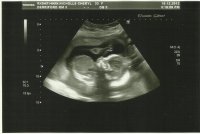 Scan.jpg