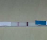 20121219_075813-1.jpg