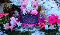 Freya's christmas garden.jpg