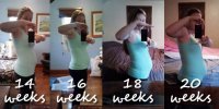 14-20weeks.jpg