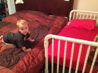 bed2.jpg