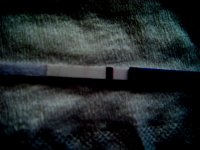 DSCF2255.jpg