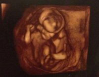 13weeks 3D.jpg