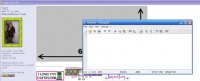 resize.jpg