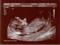 scan0006.jpg