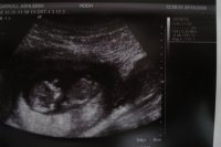Scan 002.jpg