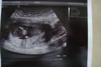 Scan 003.jpg