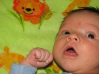 KittiesApartmentPregnancyHayden428.jpg