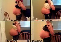 35-38Weeks.jpg