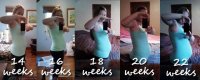 14-22weeks.jpg