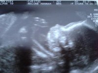 small file peanut 21+6.jpg